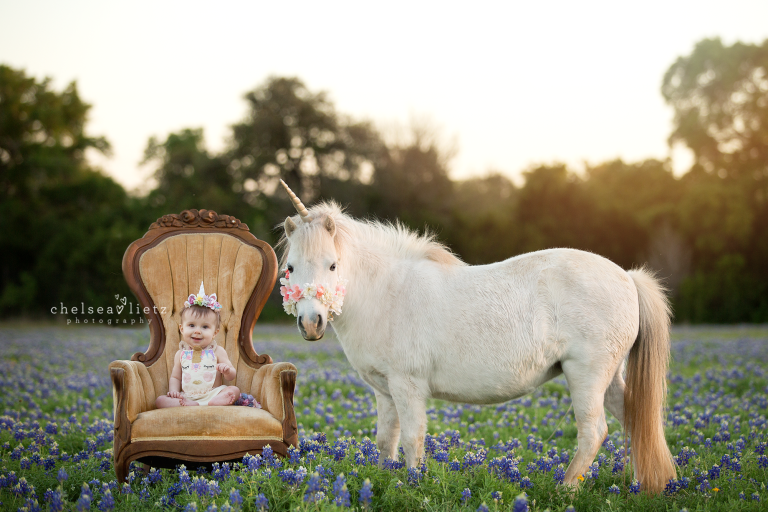 Unicorn and Pony Photos for Children | Chelsea Lietz Photography | San