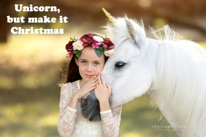 unicorn portraits, San Antonio photographer, Christmas, horse