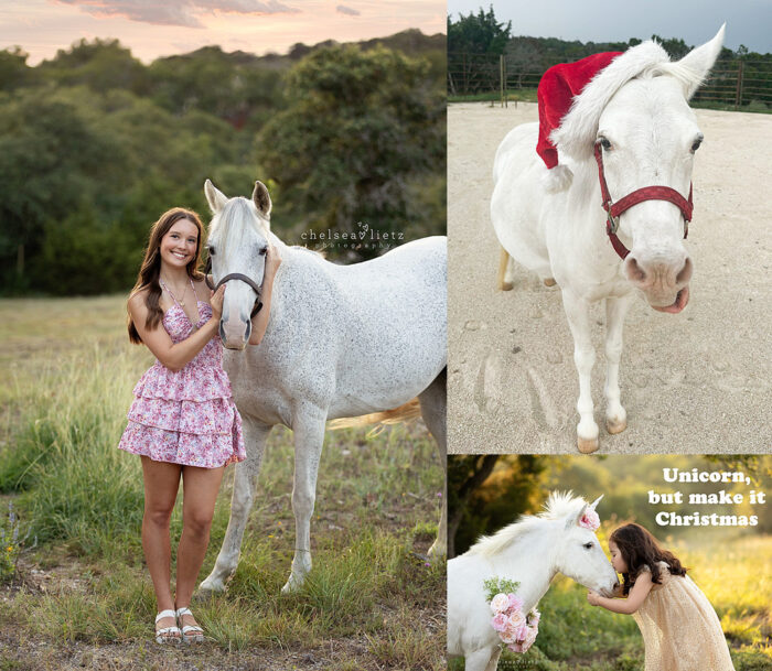 santa unicorn photos christmas San Antonio Bulverde photographer